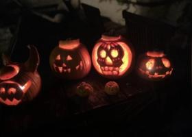 Halloween workshop taking place in Chippenham