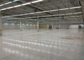 More details revealed ahead of indoor market opening at empty supermarket